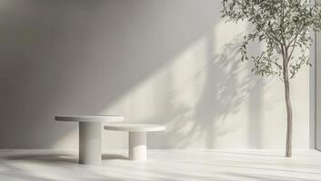 Minimalist white display podiums in sunlit room with plant photo