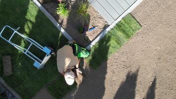 Gardening project in a backyard with landscaping and planting activities taking place in early summer video