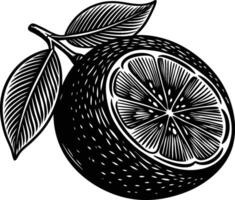 Black and white illustration, detailed woodcut style, citrus fruit, lemon or lime, cross-section view, textured rind, intricate leaf pattern vector