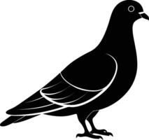 black silhouette, pigeon, dove, side view, simplified design, graphic art, clean lines, minimalist illustration vector