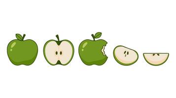 Green Apple - Hand-Drawn Illustration of Whole and Sliced Apple with Bite vector