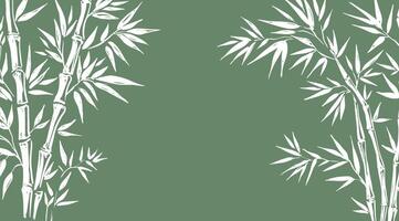 Frame with Bamboo tree on green , Hand drawn style. vector