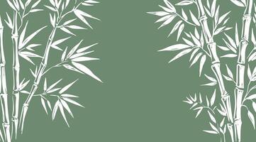 Frame with Bamboo tree, Hand drawn illustrations. vector