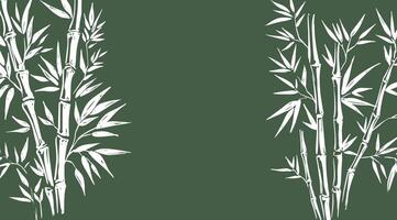 Frame with Bamboo tree, Hand drawn style. vector