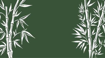 Frame with Bamboo tree on white, Hand drawn style. vector