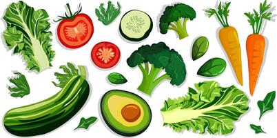 Isolated set of fresh and healthy vegetables, including lettuce, tomatoes, cucumbers, carrots, avocado, broccoli, and leafy greens on a white background web design textile cards vector