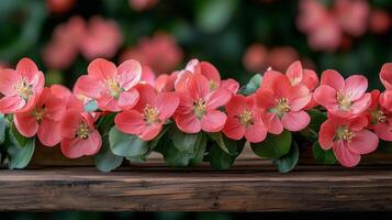 A pink apple blossoms on a wooden table with a blurred garden background. 10 photo