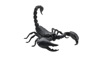 realistic 3d render of a black scorpion on isolated background png