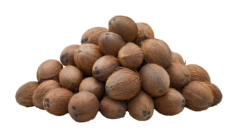 large pile of whole coconuts on isolated background, fresh tropical brown coconuts with rough fibrous husk png