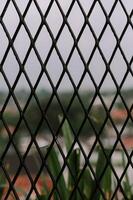Geometric steel mesh fence with blurred urban background on overcast day photo