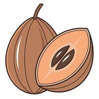 an illustration of a nut with a seed inside vector
