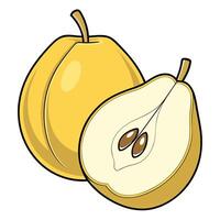 a pear is shown with a slice cut in half vector