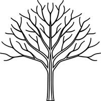 Elegant Bare Tree Line Art - Minimalist Leafless Tree Illustration vector