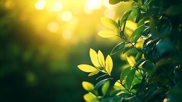 Lush greenery under the golden sunlight, fresh, vibrant leaves shine, creating a calming and natural scene. Growth and new beginnings. photo