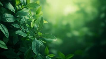 Lush green leaves fill the frame, creating a refreshing and natural scene. The soft focus background adds depth and tranquility. photo