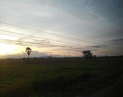 Field scenery in the morning when the sun rises, nature theme. photo
