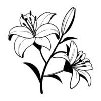 Elegant Lily Bloom in Monochrome Art vector