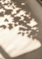 Shadow of leaves on the wall. Abstract background. Black and white. Leaf Shadows on Beige Wall photo
