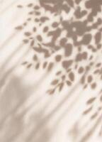 Shadow overlay effect on white concrete wall. Abstract background and texture for design. Leaf Shadows photo
