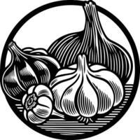 Garlic illustration artwork vector