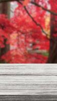 Empty wood table with red tree at park japan style bokeh blur background copy space for display of product portrait video