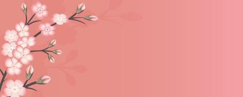 Spring background with sakura branch, cherry blossom branch on pink background. vector