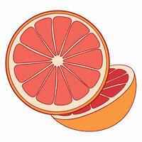 grapefruit cut in half on a white background vector