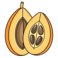 a cut open fruit with seeds and seeds inside vector