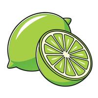 a lime and a slice of lime vector