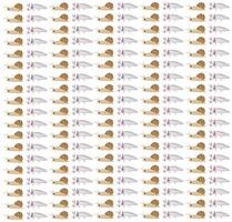 axolotl, snail as a pattern background vector
