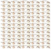 monkey, sloth as a pattern background vector