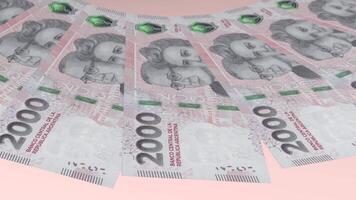 fröhlich Schleifen Design 2000 Pesos curency von Argentinien video