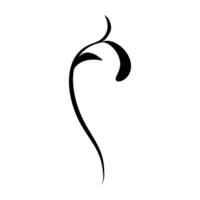 Calligraphic design element. Hand drawn style. illustration. vector