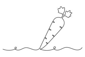Carrot continuous single line design of minimalist style illustration vector