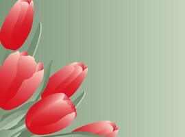 Bouquet of spring flowers tulips on green background. Design for postcards on Womans Day, 8 March. Spring background. vector