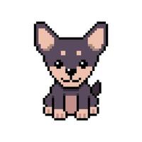 Pixel art cute chihuahua dog in retro style for design. vector