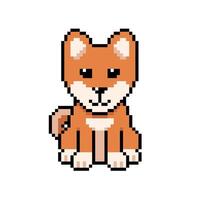 Pixel art cute shiba inu dog in retro style for design. vector