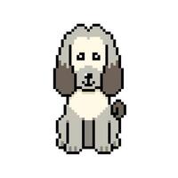 Pixel art cute afghan hound dog in retro style for design. vector