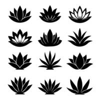 black silhouettes of lotus and agave plants vector