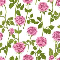 Floral Seamless Pattern with Colorful Textured Illustrations of Pink Roses on White Background vector