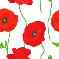 Floral Seamless Pattern with Colorful Textured Illustrations of Red Poppies on White Background vector