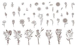 Collection of flowers, field, meadow, in linear style. Hand drawn flowers. Minimalistic design of beautiful flowers on a white background. vector