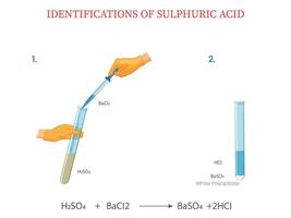 Illustration of Diagram Showing Identification of Sulphuric Acid Using Barium Chloride vector
