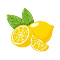 Lemon yellow isolated on white background vector