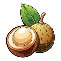 an illustration of a nut with leaves vector