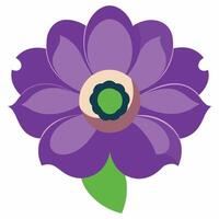 Anemone Flower on White Background Elegant Botanical Design vector