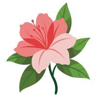 Azalea Flower on White Background Elegant Botanical Design vector