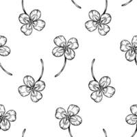 Seamless pattern with four leaf clover, shamrock. A symbol for St. Patrick's day and luck. Graphic black and white sketch style illustration for wrapping wallpaper fabric textile vector