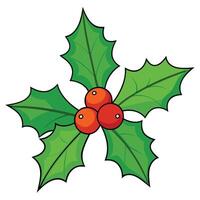 A delightful illustration of a holly sprig with three bright red berries vector