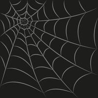Spider web illustration. Spider web isolated on dark background. Spider web outline illustration. vector